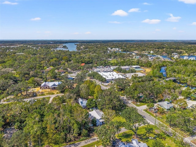 10844 W Yulee Dr, Homosassa, FL 34448 - aerial view of property's location featuring a large body of water