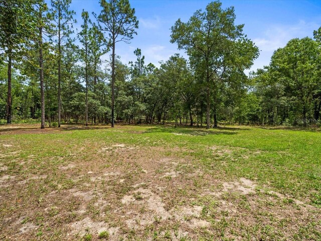2543 E Marcia St, Inverness, FL 34453 - photo 55