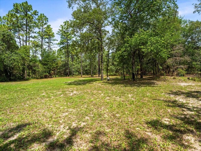 2543 E Marcia St, Inverness, FL 34453 - photo 56