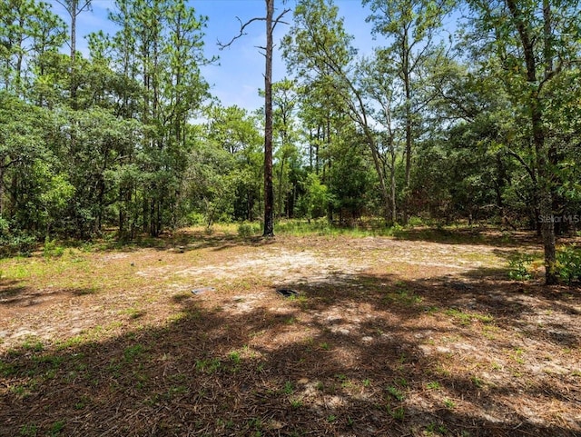 2543 E Marcia St, Inverness, FL 34453 - photo 57