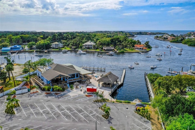 6601 Nautical Isle, Hudson, FL 34667 - bird's eye view of a large body of water