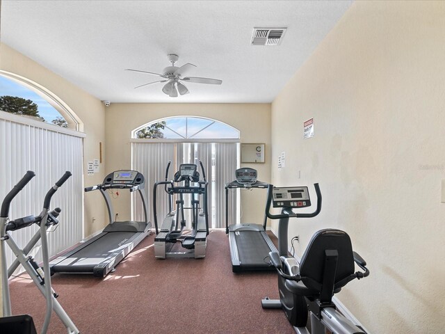 13922 Talmage Loop, Hudson, FL 34667 - exercise room with plenty of natural light and a ceiling fan