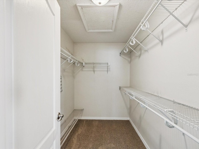 4266 High Ridge Ave, Spring Hill, FL 34609 - spacious closet featuring carpet flooring and attic access