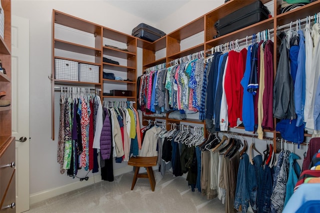 10531 Pontofino Cir, Trinity, FL 34655 - walk in closet featuring carpet flooring