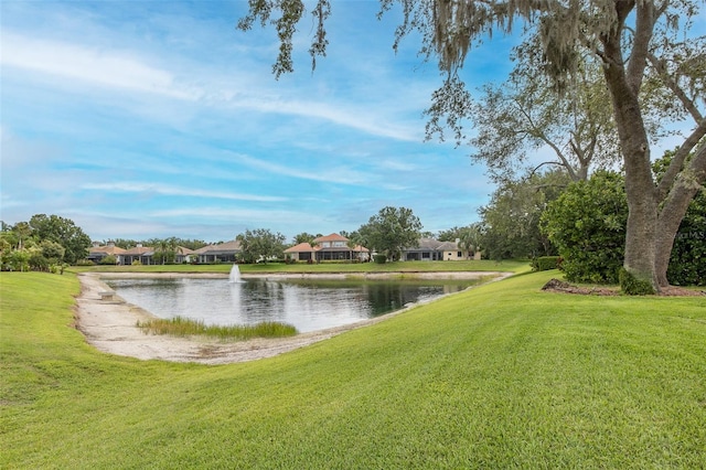 10531 Pontofino Cir, Trinity, FL 34655 - water view featuring nearby suburban area