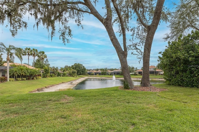 10531 Pontofino Cir, Trinity, FL 34655 - view of grassy yard featuring a water view and a residential view