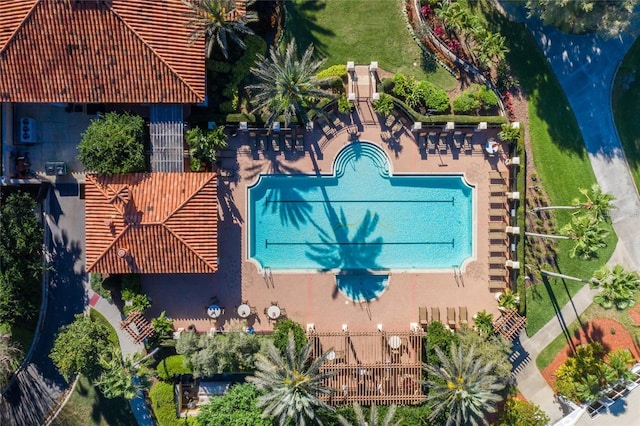 10531 Pontofino Cir, Trinity, FL 34655 - view of subject property with a pool