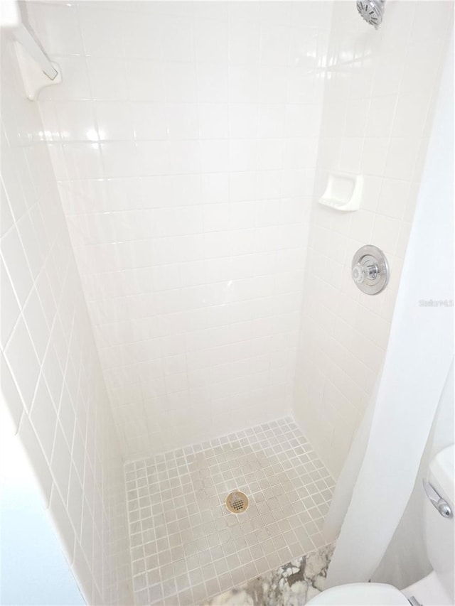 7313 Hatteras Dr, Hudson, FL 34667 - full bath featuring a shower stall and toilet