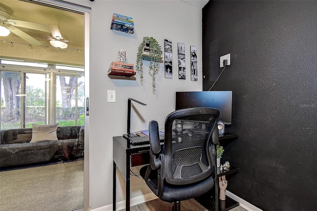 10670 43rd St N Unit 204, Clearwater, FL 33762 - office space featuring ceiling fan and baseboards