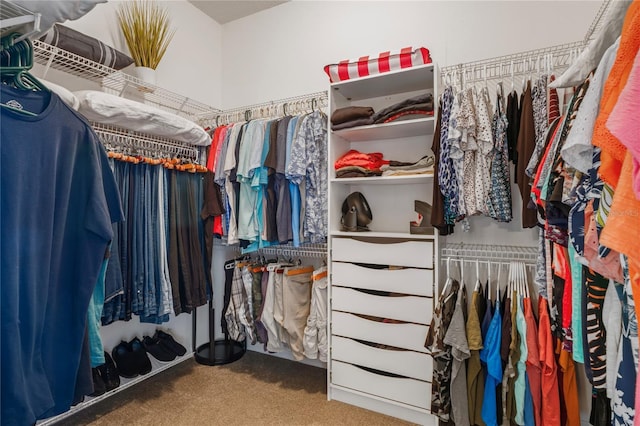 10250 Locker Dr, Spring Hill, FL 34608 - walk in closet featuring carpet