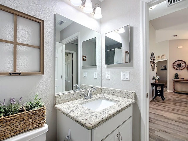 12396 SW 64th Street Rd, Ocala, FL 34481 - bathroom with wood finished floors, vanity, and a textured wall