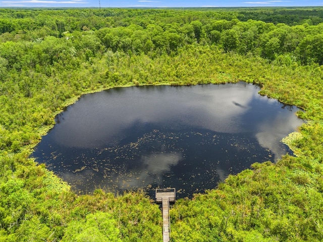 11579 Weaver Hollow Rd, New Port Richey, FL 34654 - exterior view of a forest