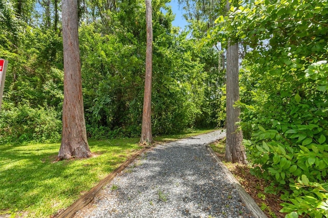 11579 Weaver Hollow Rd, New Port Richey, FL 34654 - view of road
