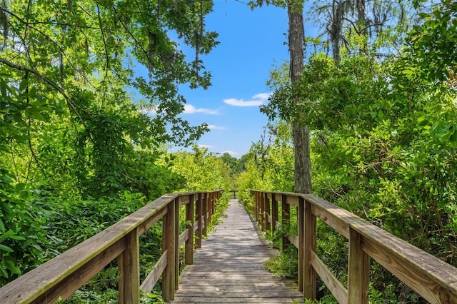 11579 Weaver Hollow Rd, New Port Richey, FL 34654 - view of community