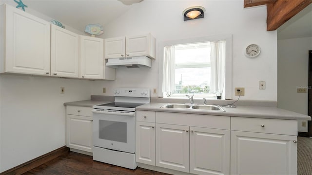 6322 Aureau Ave, Hudson, FL 34667 - kitchen featuring electric stove, under cabinet range hood, a sink, lofted ceiling, and dark wood-style floors