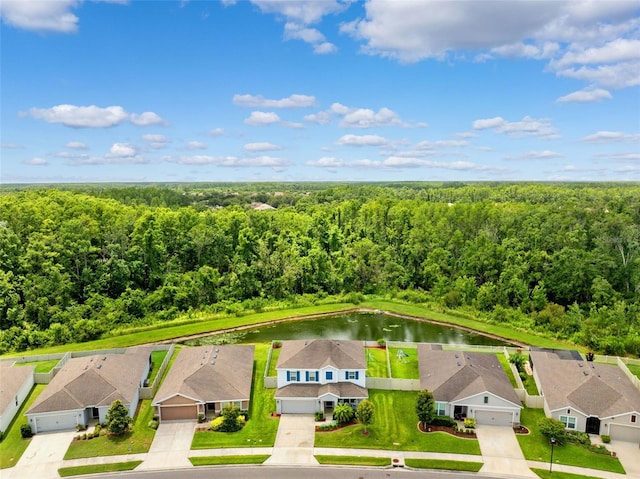 18566 Hunters Meadow Walk, Land O Lakes, FL 34638 - photo 46