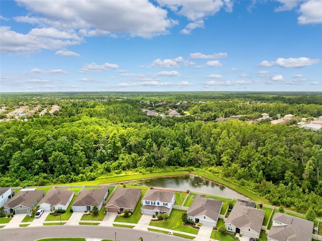 18566 Hunters Meadow Walk, Land O Lakes, FL 34638 - photo 48