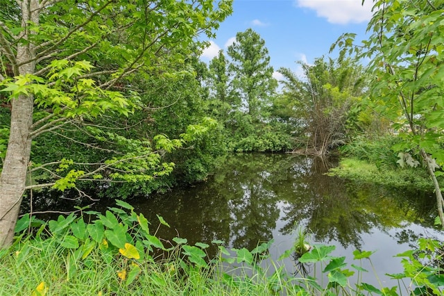 4350 Sawgrass Blvd, New Port Richey, FL 34653 - water view