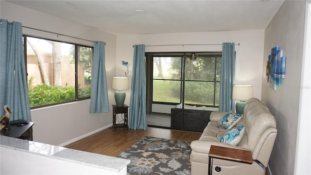 13012 Wedgewood Way Unit A, Hudson, FL 34667 - living area featuring wood finished floors and baseboards