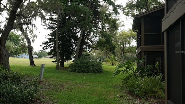13012 Wedgewood Way Unit A, Hudson, FL 34667 - view of grassy yard