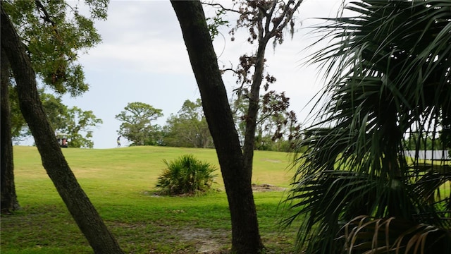 13012 Wedgewood Way Unit A, Hudson, FL 34667 - view of grassy yard