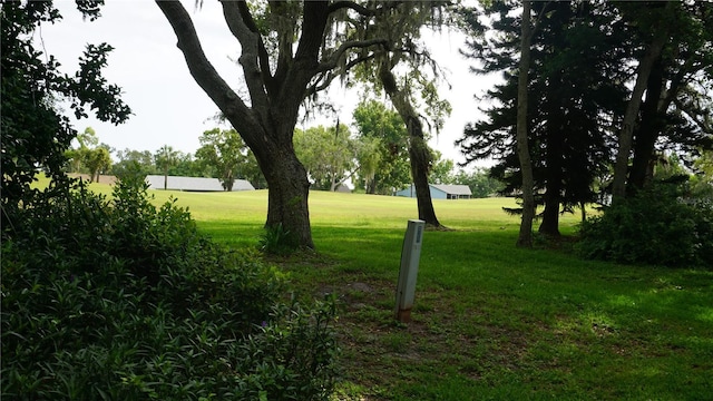 13012 Wedgewood Way Unit A, Hudson, FL 34667 - view of grassy yard