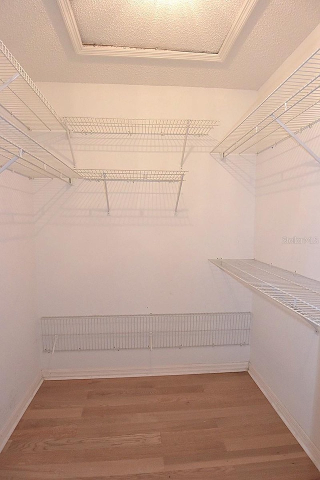 11364 Orangewood Ct, Spring Hill, FL 34609 - walk in closet with wood finished floors