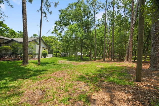 8518 Quail Hollow Blvd, Wesley Chapel, FL 33544 - view of grassy yard