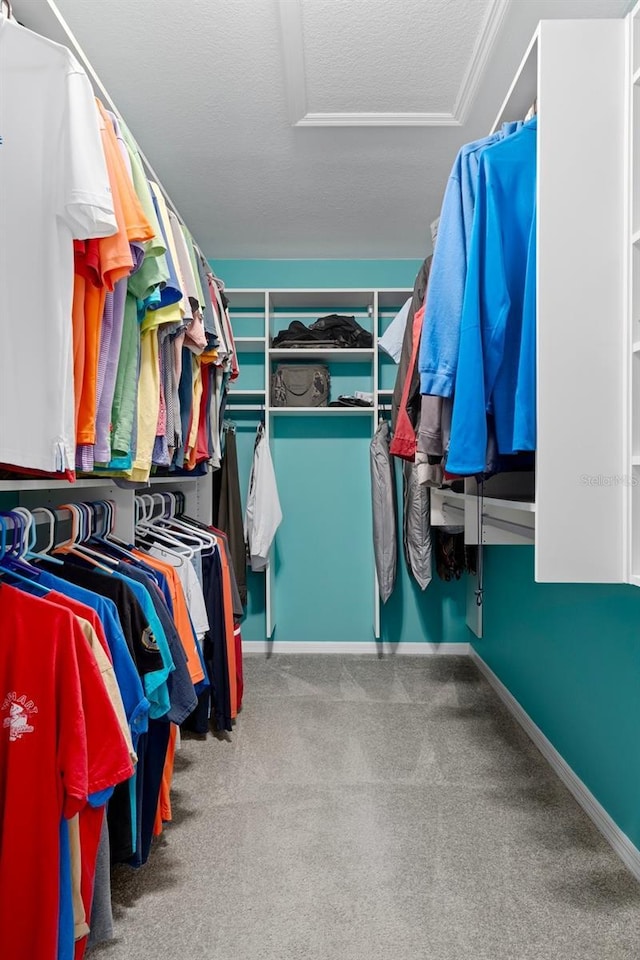 35046 Smoketree Ln, Dade City, FL 33523 - spacious closet with attic access and carpet