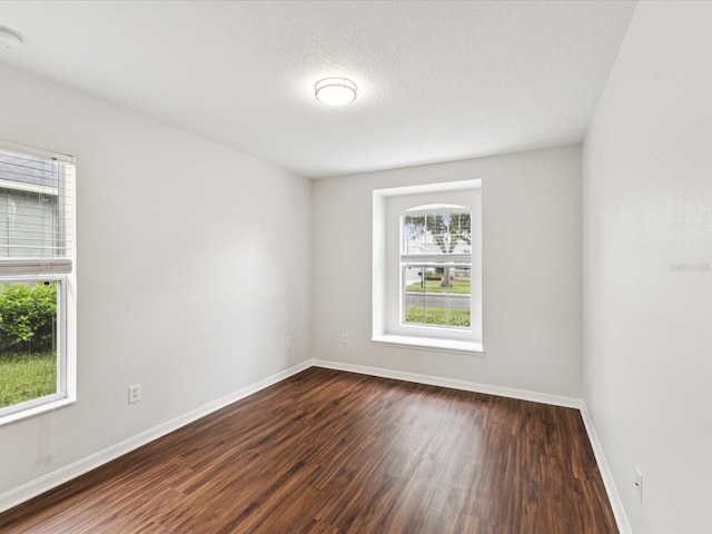 18916 New Passage Blvd, Land O Lakes, FL 34638 - photo 6