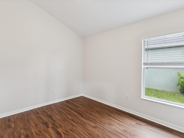 18916 New Passage Blvd, Land O Lakes, FL 34638 - photo 8