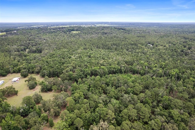 0 Old Crystal River Rd, Brooksville, FL 34601 - photo 2