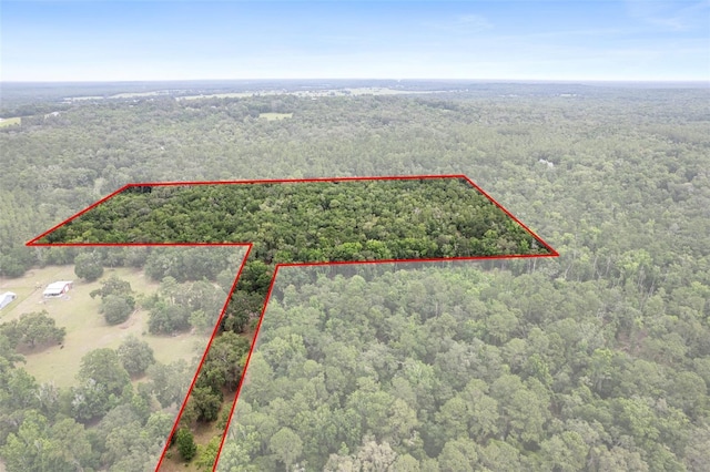 0 Old Crystal River Rd, Brooksville, FL 34601 - photo 1