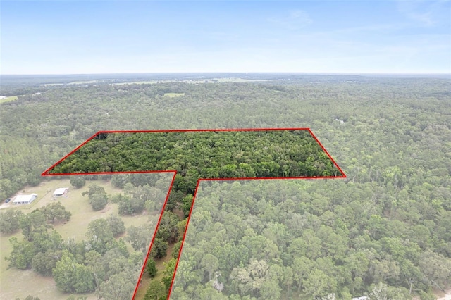 0 Old Crystal River Rd, Brooksville, FL 34601 - photo 3