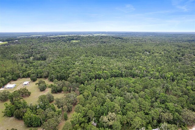 0 Old Crystal River Rd, Brooksville, FL 34601 - photo 4
