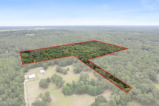 0 Old Crystal River Rd, Brooksville, FL 34601 - photo 5