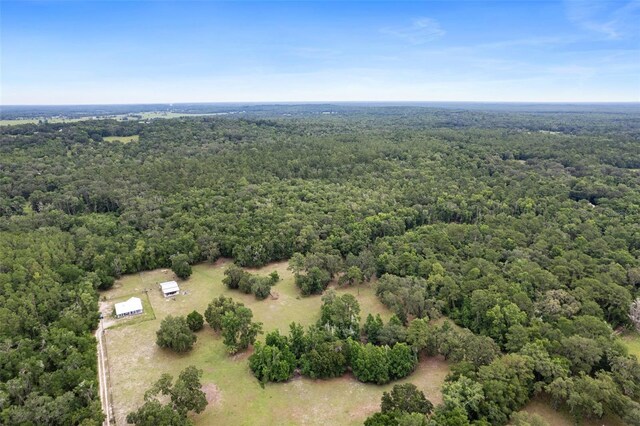 0 Old Crystal River Rd, Brooksville, FL 34601 - photo 6