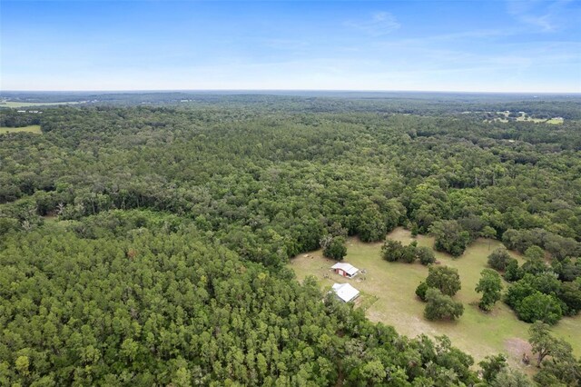0 Old Crystal River Rd, Brooksville, FL 34601 - photo 7