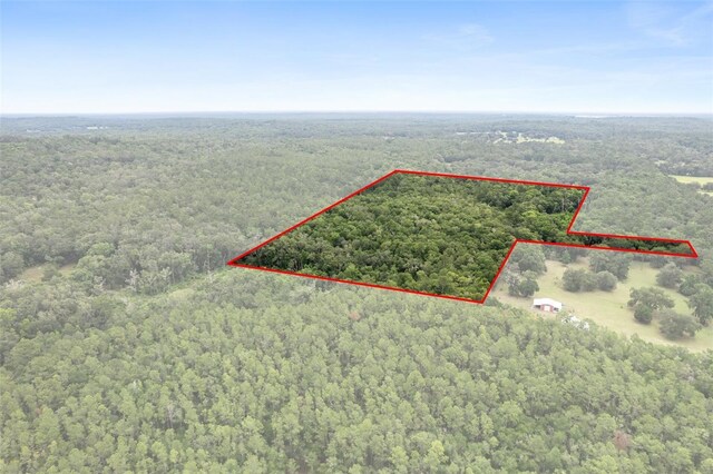 0 Old Crystal River Rd, Brooksville, FL 34601 - photo 8