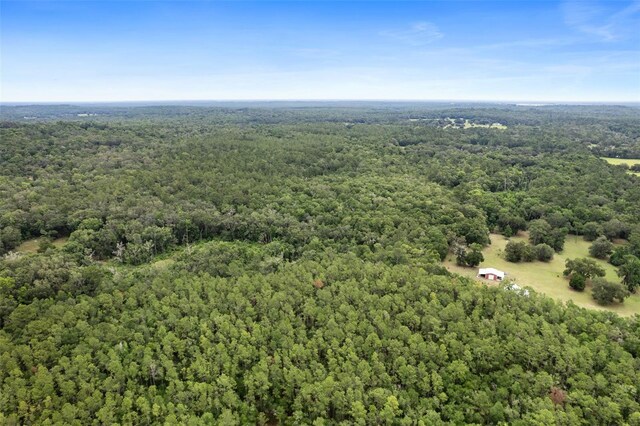 0 Old Crystal River Rd, Brooksville, FL 34601 - photo 9