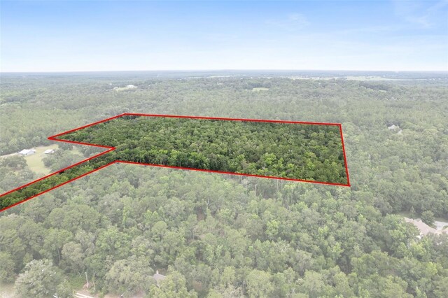 0 Old Crystal River Rd, Brooksville, FL 34601 - photo 10