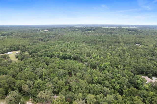 0 Old Crystal River Rd, Brooksville, FL 34601 - photo 11