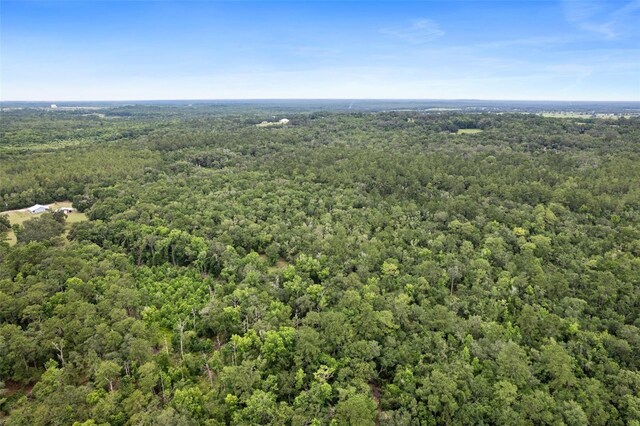 0 Old Crystal River Rd, Brooksville, FL 34601 - photo 12