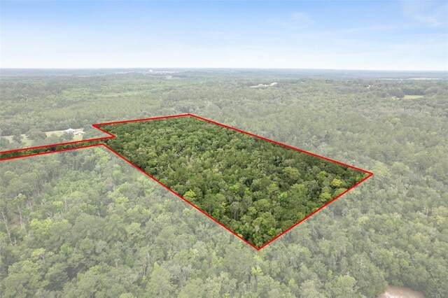 0 Old Crystal River Rd, Brooksville, FL 34601 - photo 13