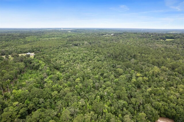0 Old Crystal River Rd, Brooksville, FL 34601 - photo 14