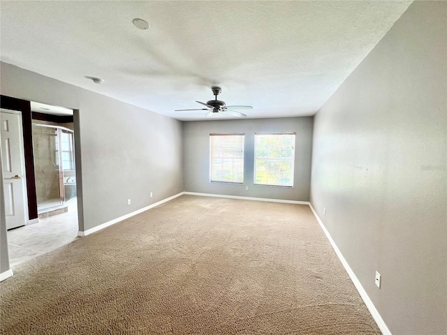 930 Woodbridge Ct, Safety Harbor, FL 34695 - spare room featuring light colored carpet, ceiling fan, plenty of natural light, baseboards, and a textured ceiling