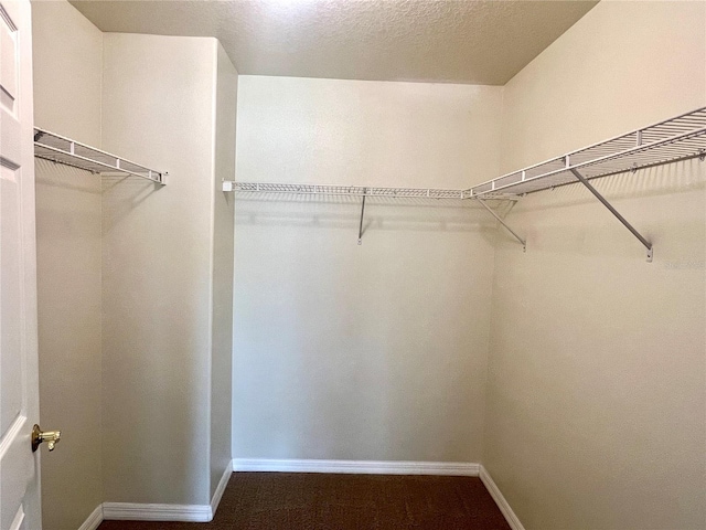930 Woodbridge Ct, Safety Harbor, FL 34695 - view of spacious closet