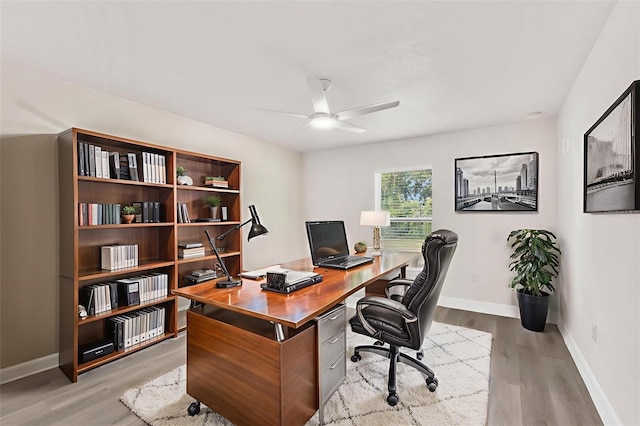 12064 Cradock St, Spring Hill, FL 34608 - office space featuring ceiling fan, light wood-style flooring, and baseboards