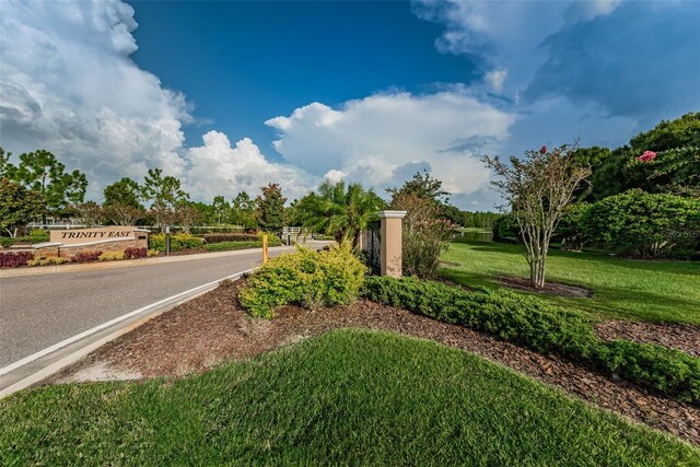 1236 Ketzal Dr, Trinity, FL 34655 - photo 36