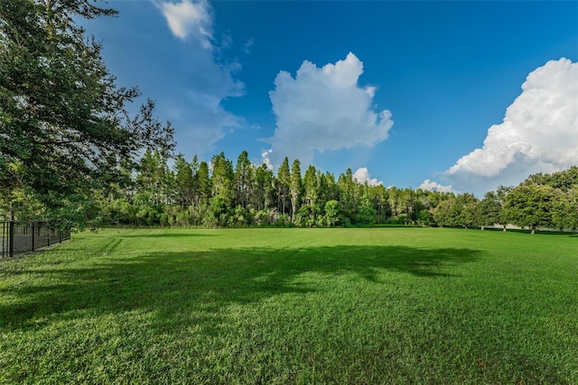 1236 Ketzal Dr, Trinity, FL 34655 - photo 45